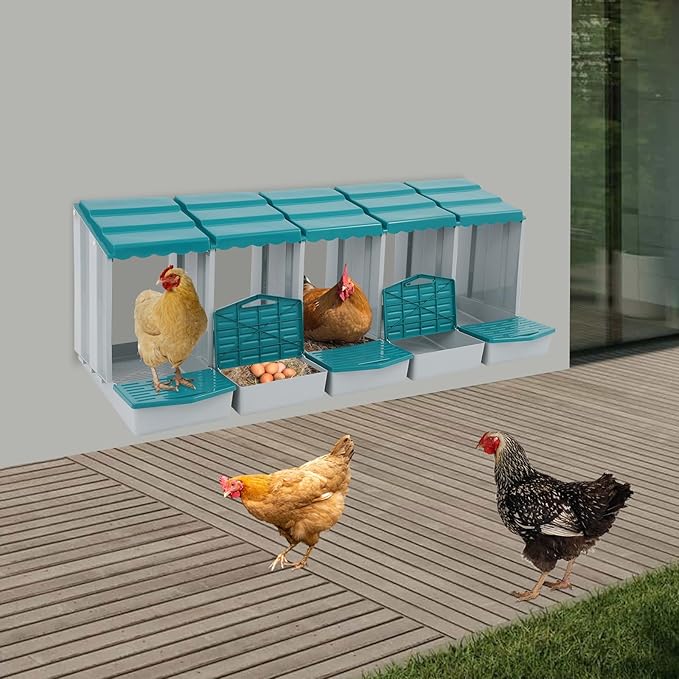 Chicken Nesting Boxes 5 Compartment PP Nesting Box with Inclined Nesting Boxes & Vented Holes Wall Mount Chicken Laying Boxes for Chicken Coop (Green)