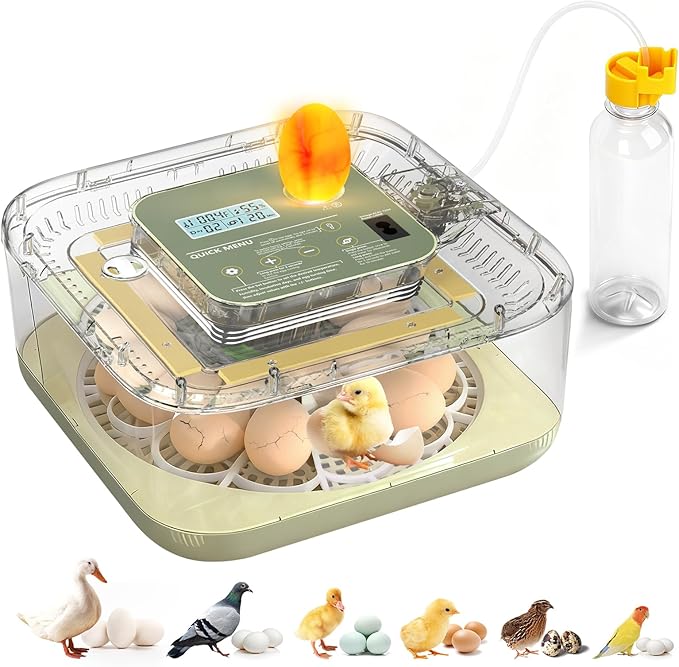 Fully Automatic Egg Incubator for Hatching Eggs, Auto Water Refill & Turner, 12 Egg Capacity (24 Quail), LED Candler, Fahrenheit Display Hatcher for Chickens Ducks Birds, Beginner Friendly