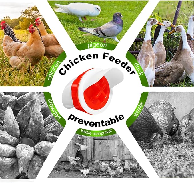 10 PCS Chicken Feeder Port DIY Automatic Chicken Feeder, Poultry Feeder, No Waste, Rat-Proof, Waterproof