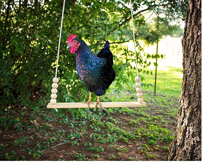 Bird Swing Wooden Hanging Chicken Swing Stand Suspension Bridge Budgie Climb Chew Toys Roosting Bar Coop Brooder Entertainment Toys Birdcage Accessories