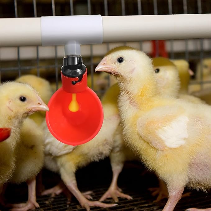 Outus 100 Pack Chicken Waterer PVC Tee Fittings, Fully Automatic Poultry Waterer PVC Fittings for Threaded Chicken Water Nipples, Cups, Drinker, Feeder, Duck, Quail, Turkey Coop Accessories, White