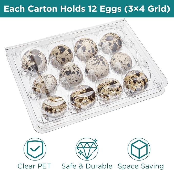 YOUEON 60 Pcs Clear Quail Egg Cartons, 12 Count Plastic Egg Trays, Small Egg Storage Holders with Lids, Stackable Bulk Egg Boxes for Quail, Pigeon, Pheasant, Display, Refrigerator Storage