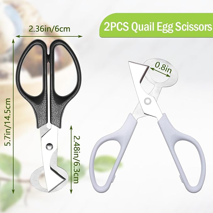 Adecco LLC Pigeon Quail Egg Cutter Scissors Stainless Steel Blades Bird Cutter 2 Pack (Quail Egg Scissor)