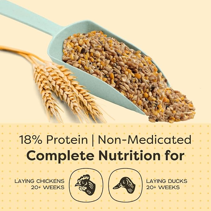 Scratch and Peck Feeds Whole Grain Layer Mash + Corn Chicken and Duck Feed - 40 lbs Bag - Soy-Free - 18% Protein, Certified Organic and Non-GMO Project Verified Chicken Food