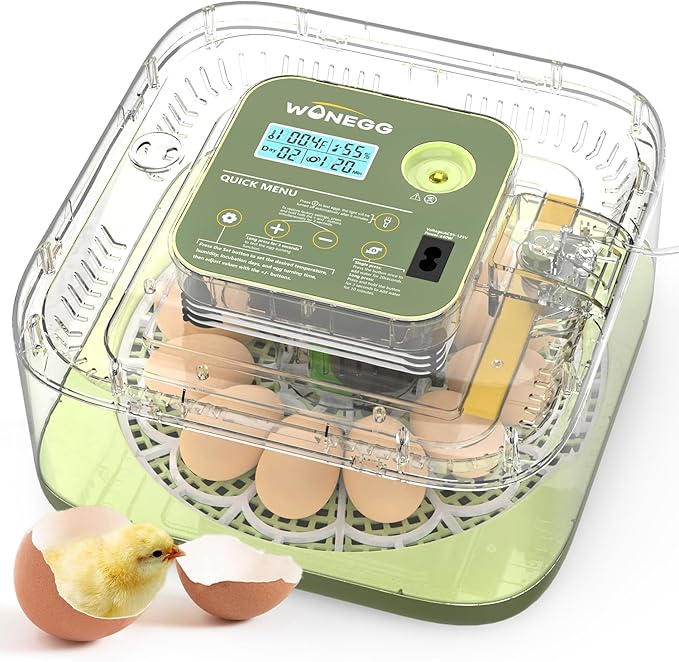 12 Egg Incubator with Automatic Egg Turning and Humidity Control, LED Egg Candling Light, Customized Incubation Days, Incubators for Hatching Eggs, Chicken Quail Parrot Pigeon Birds, Green