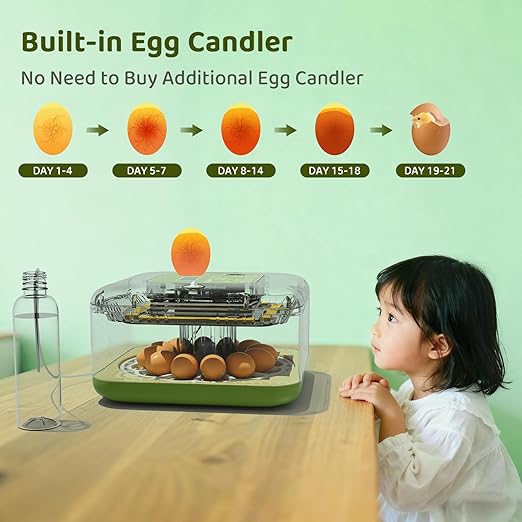 Ovatt 12-Egg Incubator with LED Display, Automatic Temperature and Humidity Control, and Automatic Egg Turner for Chicken, Duck, Quail, and Goose Eggs—Ideal for Home and Small Farms