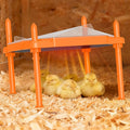 Chick Brooder Heating Plate, 14"x11"Adjustable Temperature & Height Heating Plate for Chicken with Anti-Roost Cone, Easy-Clean Poultry Coop Heater for Up to 18-22 Chicks (Orange)