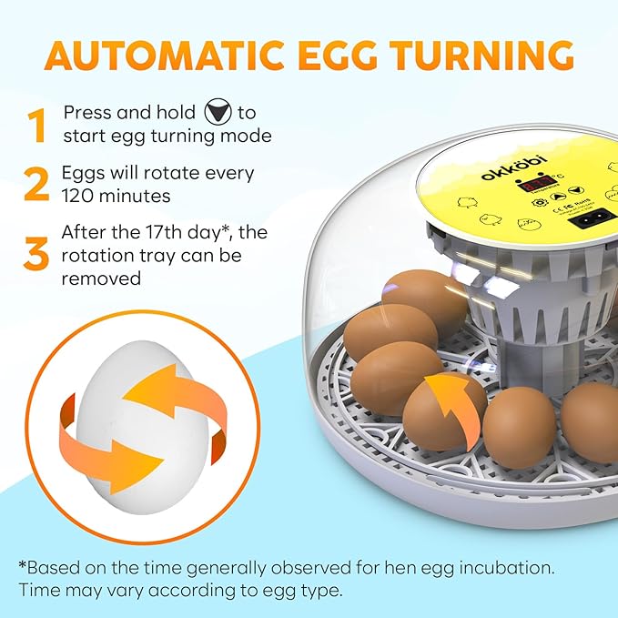 Okkobi M12 Egg Incubator with Automatic Turner and Humidity Control - 12/24 Eggs, 360° View, Easy to Use and Clean - Incubadora de Huevos de Gallina - Incubators for Hatching - White & Yellow