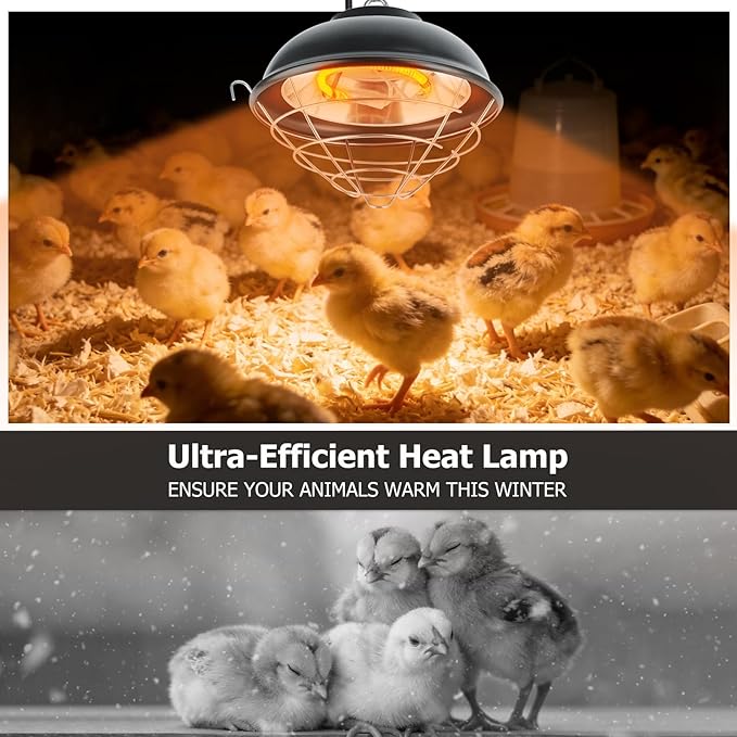 350W Heat Lamp for Chickens - Carbon Fiber Chicken Coop Heater, Hanging Chicks Brooder Heaters 2 Heating Levels, 5.6 Ft Cord Waterproof Chicken Heat Lamp for Poultry Pets & Outdoor Used