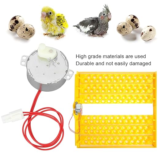 FLEXMAN Egg Tray Turning Motor, 4W Egg Turner Rotator Incubator Motor, Portable Professional Electric Synchronous Motor with Connector for Incubator (12V AC)