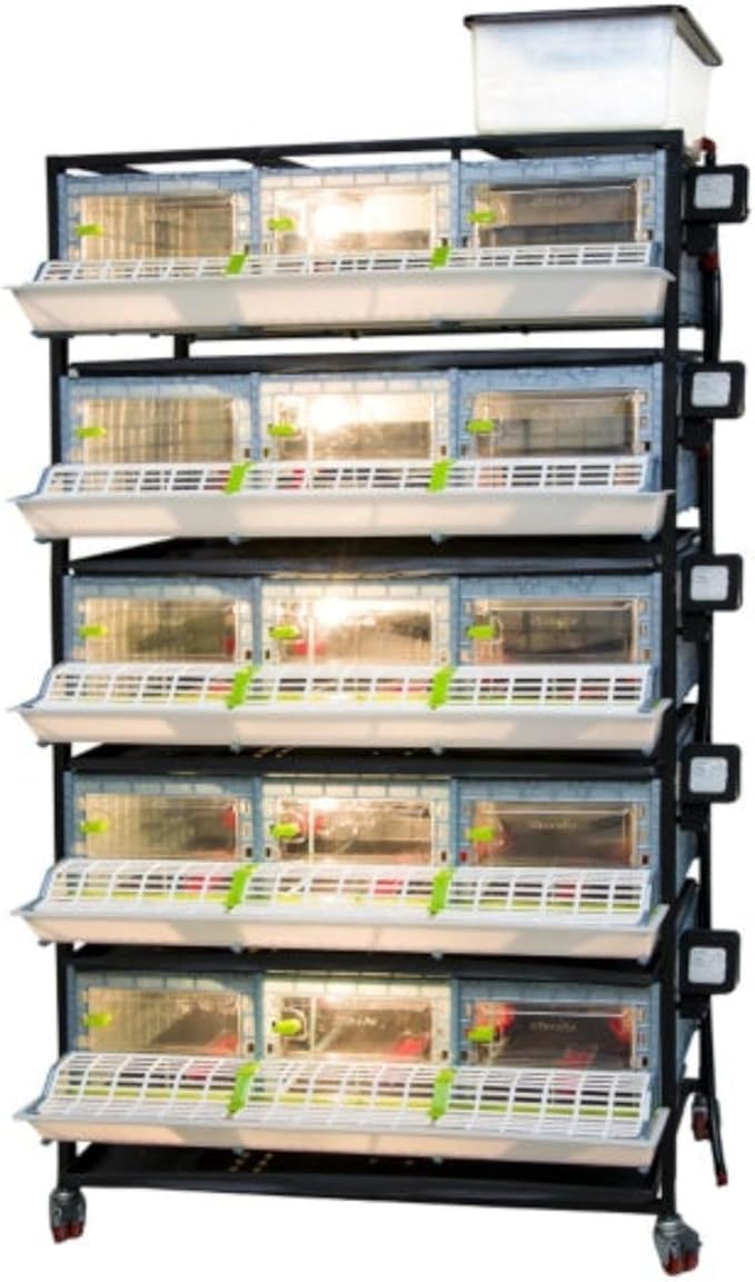 Hatching Time 9.5" Chick Brooders – Stackable or 2-Section Options with Automatic Heating, Modular Design, Easy to Clean, Ideal for Quail, Pheasant, and Baby Chicks (5 Layer)