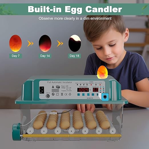 36 Eggs Incubators for Hatching Eggs,Egg Incubator with 4 Automatic Incubate Mode,Chicken Incubator with Automatic Egg Turning Humidity Monitoring,Poultry Egg Incubator with Egg Candle