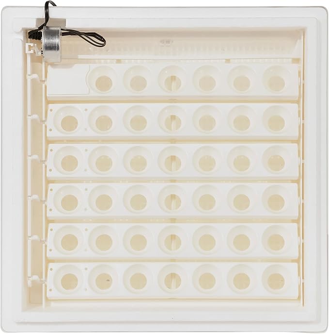 Farm Innovators 41 Egg Digital Circulated Air Incubator w/Auto Turning & Humidity Control - Automatic Incubating Machine for Hatching Chicken Eggs and Poultry Farming