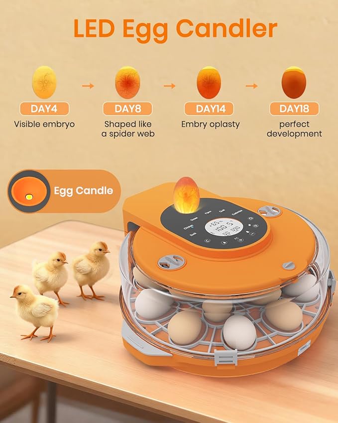 Incubators for Hatching Eggs,15 Egg Incubator with Automatic Egg Turner,Temperature & Humidity Control，Egg Candler,Incubators with 2 Trays, 360° Viewing for Hatching Chicken Duck Goose Quail Bird