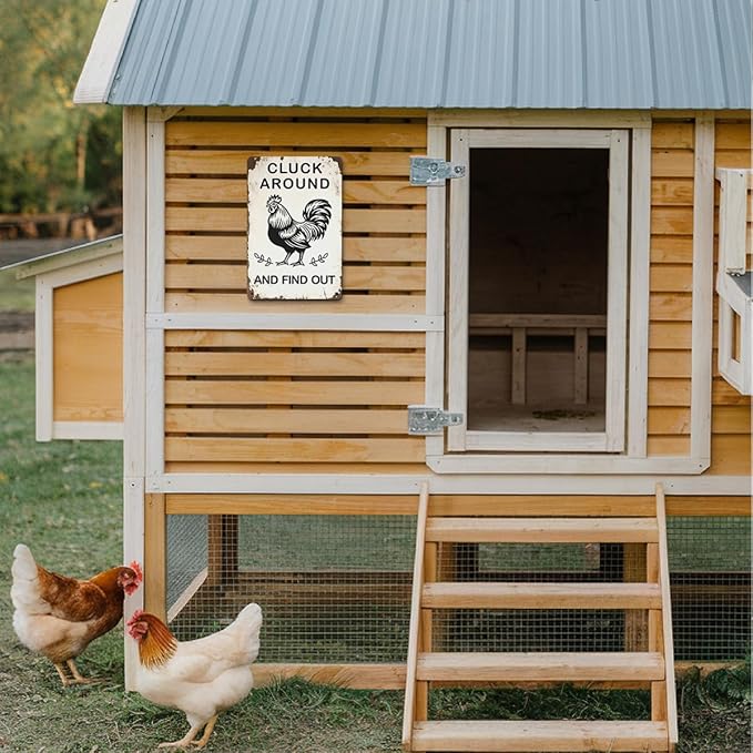 Funny Chicken Gifts for Women, Cluck Around and Find Out Aluminium Plate Signs, Humorous Chicken Decor for Home Farmhouse Coop, Rustic Wall Art Decorations 8 X 12 Inch Metal Signs