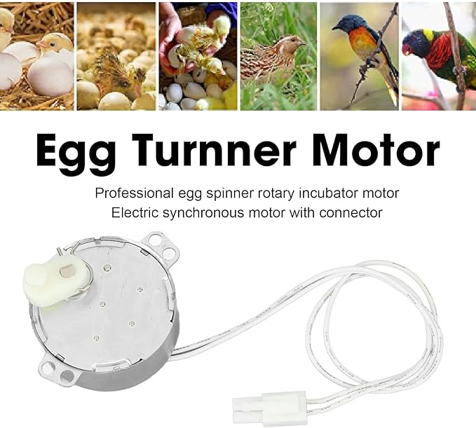 Replacement Egg Turner Motor, 4W Egg Turner Rotator Incubator Motor Electric Synchron Motor with Connector for Chickens Ducks Goose Birds Egg Hatching (100-120v)