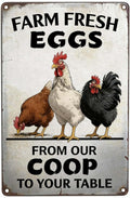 Farm Fresh Eggs Vintage Metal Sign 8x12 Inches - From Our Coop To Your Table, Rustic Chicken Coop Decor, Retro Farmhouse Kitchen Wall Art, Funny Chicken Lover Gift for Home, Bar, Cafe, Garage