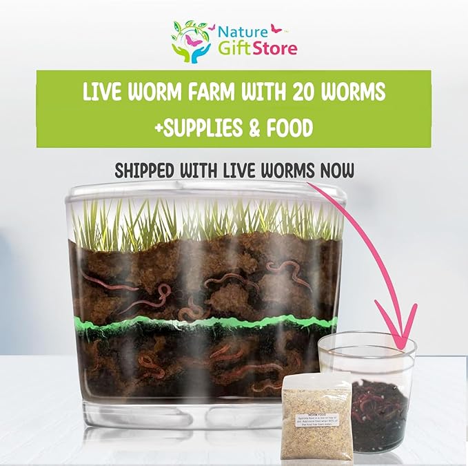 Worm Farm for Kids Shipped with Live Worms and Food - Observation Worm Farm Kit with Ecosystem, Soil, Mixing Sand, Magnifying Glass & More