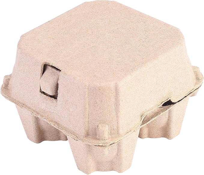 100 Pack Egg Cartons Bulk Pulp 2x2, 4 Cell Containers Vintage Easter, 1/3 Dozen Sturdy Natural Paper Holder Box for Storage Fresh Chicken Huevo