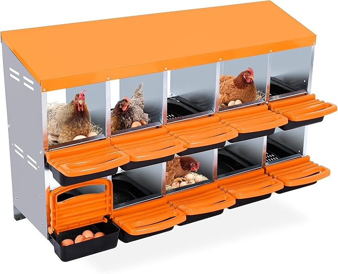 Chicken Nesting Box 10-Hole Roll Away Egg Laying Box with Lid, Galvanized Steel Rustproof Poultry Coop Box, Easy Clean, Wall Mountable No Bracket Needed for Hens, Orange