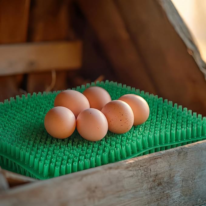 10 Pcs Chicken Nesting Pads Washable 13.8 * 11.6 Nesting Box Pads for Chickens Coop Artificial Grass Rug Accessories Plastic Grass Mat for Chicken Coop Accessories(Green)