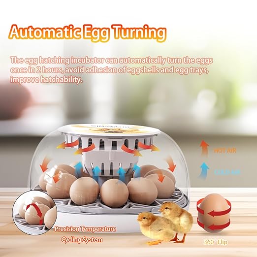 Incubators for Hatching Eggs Incubator with Automatic Egg Turning and Humidity Control, 360° Clear View, Poultry Incubator for Hatching Chicken, Duck, Quail, Pigeon, Goose Eggs (White)