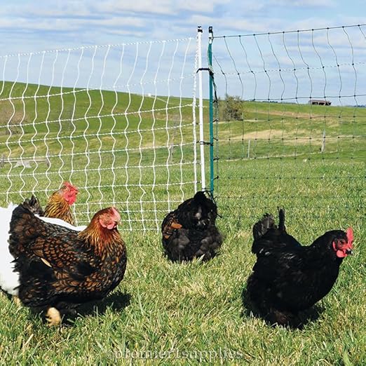 Premier 1 PoultryNet® Plus, 42"H x 100'L Portable Electric Fence with Extra Line Posts to Reduce Sag | Double Spike for Added Stability | Green/Black Fence for Chickens, Ducks, Geese