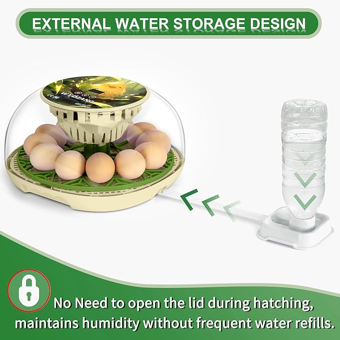 Smart Chicken Incubators for Hatching Eggs with Automatic Turner Small Poultry Duck Quail 12 Egg Incubator Temperature Control Display Hatcher Machine (Chirvy)