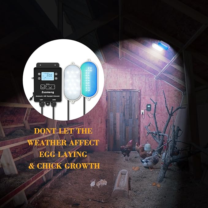 Automatic LED Daylight Extender, Zuomeng Upgraded Chicken Coop Light with Multi-Color Light (White/Red/Blue/Green) to Boost Egg Production & Support Chick Growth, Weather-Resistant (Patent Pending)