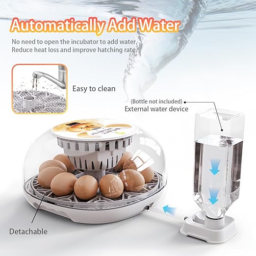 Incubators for Hatching Eggs Incubator with Automatic Egg Turning and Humidity Control, 360° Clear View, Poultry Incubator for Hatching Chicken, Duck, Quail, Pigeon, Goose Eggs (White)