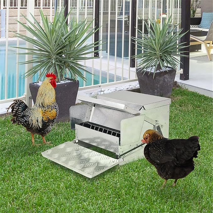Automatic Chicken Feeder with Weatherproof Design for Outdoor Poultry Use – Durable Galvanized Steel and Aluminum Construction