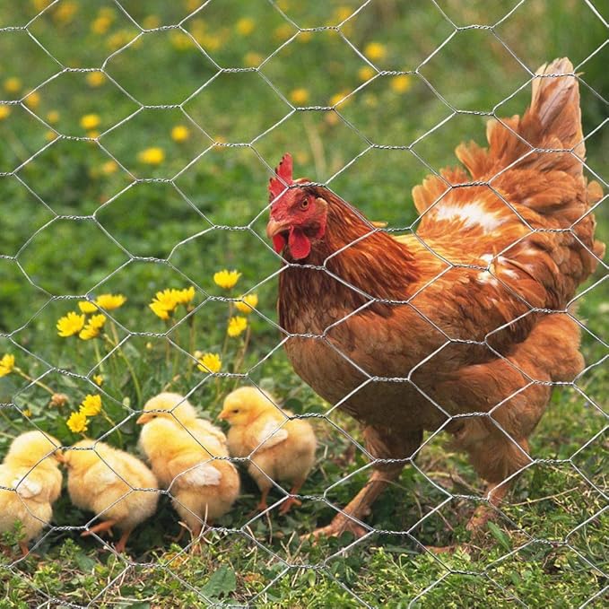 20GA Galvanized Hexagonal Poultry Netting Chicken Wire 36 inches x 50 feet x 2 inches Mesh