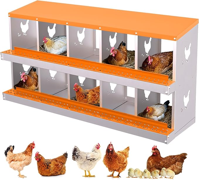 10 Compartment Chicken Nesting Box, Wall Mount Hen Laying Boxes with Removable Trays, 10-Hole Galvanized Steel Metal Hanging Poultry Nest for Backyard, Farms, and Chicken Coop, Egg Collection