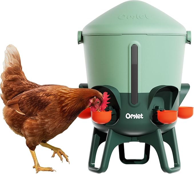 Omlet Insulated Chicken Waterer, 3 Gallon | Stay-Clean Automatic Water Dispenser for Chickens | BPA-Free | Anti-Roost Domed Lid | Includes 5 Cups & Nipples | Sage Green