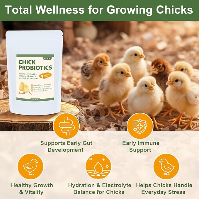 Chick Probiotics Powder, 4-in-1 Poultry Nutrition with Probiotics Vitamins Minerals & Electrolytes, Supports Digestion Hydration & Healthy Growth for Chicks, Poultry Nutrient Boost Supplements Feed