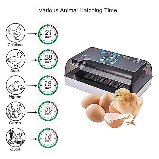 Egg Incubator with Automatic Turning, Digital Poultry Hatcher for 12-35 Eggs, Egg Candling, Temperature Control for Chickens, Ducks, and Quails