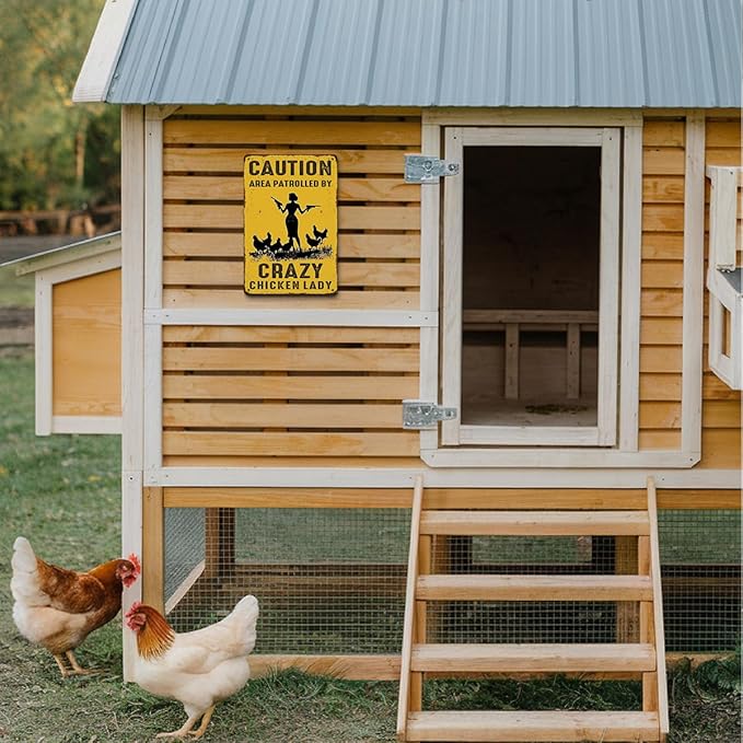 Funny Chicken Gifts for Women Farm Enthusiasts, Caution Area Patrolled By A Crazy Lady Aluminium Plate Signs, Humorous Chicken Decor for Farmhouse Coop Kitchen, Rustic Wall Art Decorations Metal Signs