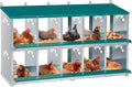 Chicken Nesting Box, 10 Compartment Nesting Box, 10 Room Metal Nesting Boxes for Chicken, Green