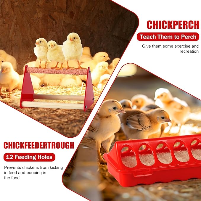 7PCS Chick Feeder and Waterer Kit with Wooden Perch,Baby Poultry Starter Set with Chick Perch for Small Poultry Chicks Ducks Quail Pigeons Birds(Red Chick Feeder Waterer Kit)