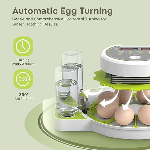 ME JO Egg Incubator for Hatching Eggs with Automatic Egg Turning & Humidity Control – Dual Power Supply Chicken Egg Incubator, Quail, Duck, Reptile Hatchery, Small Digital Smart Incubator (18 Eggs)