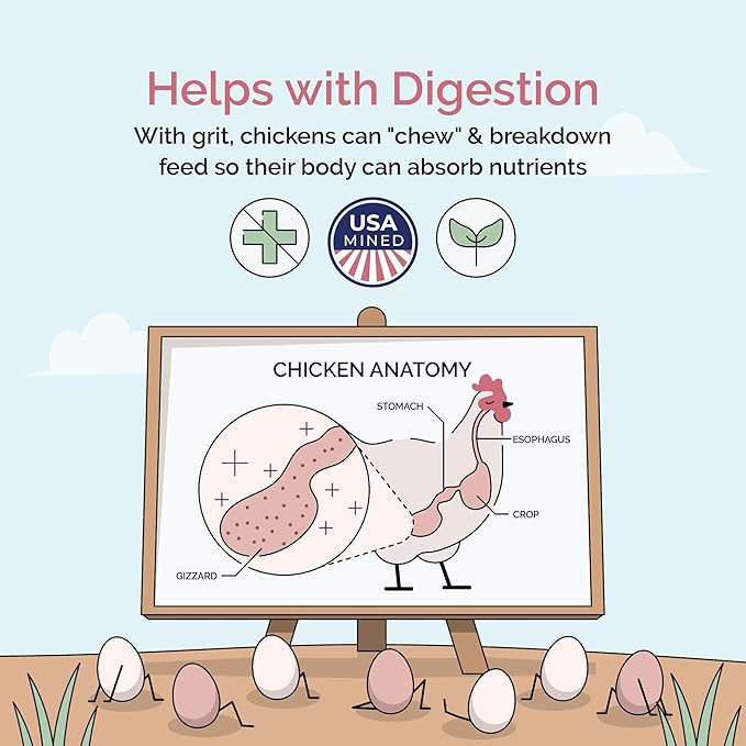 Starter Chicken Kit - Feed & Grit - Starter Chick Mash 2 lbs., Non-GMO, USA Grown, 21% Protein, Corn-Free, 100% Natural Mineral Chick Grit 4 lbs.