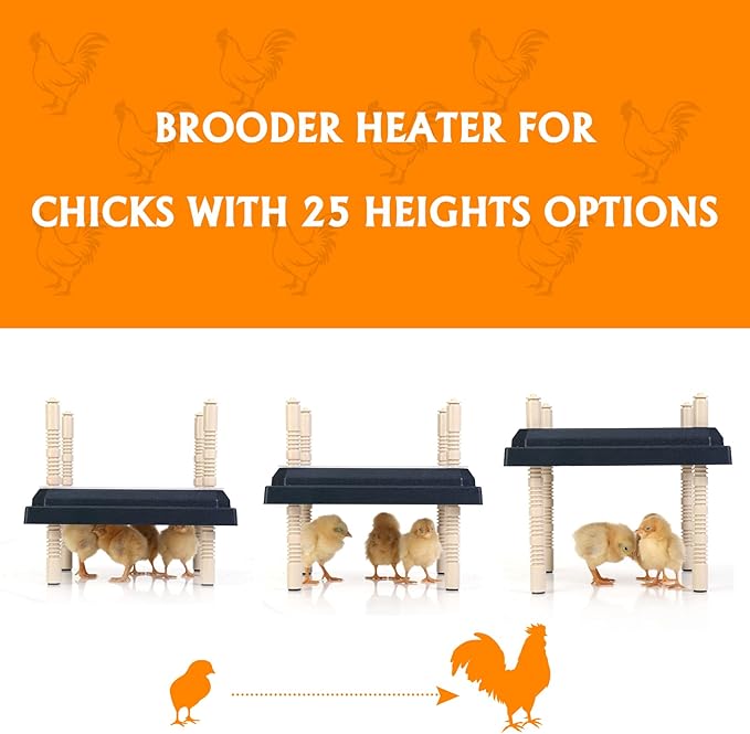 Brooder Heater for Chicks: Chick Brooder Heating Plate with Easy- Cleaning Plate Poultry Coop Heater Chicks Warmer 10" x 10" for 15 Chicks Adjustable Height Brooding Heater 15 Watts