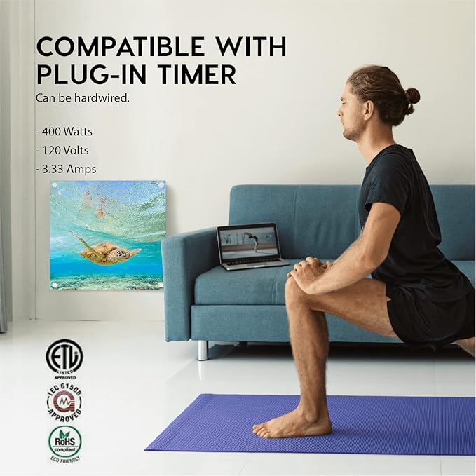 EconoHome Wall Mount Space Heater Panel - with Thermostat - 400 Watt Convection Heater - Ideal for 120 Sq Ft Room - 120V Electric Heater - Updated Model