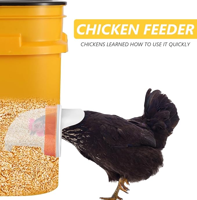 MAFONE DIY Chicken Feeder No Waste,Mess Cups Kit for Gravity Automatic Chickens Bucket Feeder Fit for Buckets, Barrels, Bins,Troughs,Rain Proof Poultry Feeder Port(4 White Orange Ports,1 Hole Saw)