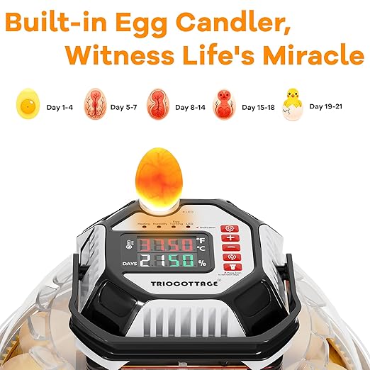 Incubators for Hatching Eggs, 12–18 Egg Capacity Digital Egg Incubator with Automatic Egg Turning and Accurate Humidity Control for Chicken, Quail, Duck