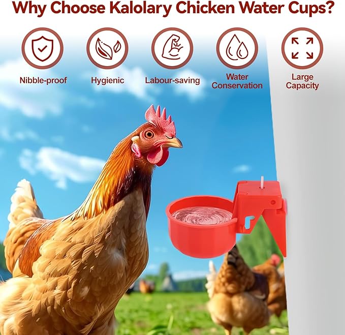 Kalolary Detachable Chicken Waterer Cup, 12 Packs Tee Fittings Automatic Poultry Drinking Cups with Hole Open Drill Bit,Professional Poultry Water Container for Chick,Duck, Goose,Bunny,Turkey,Pigeon