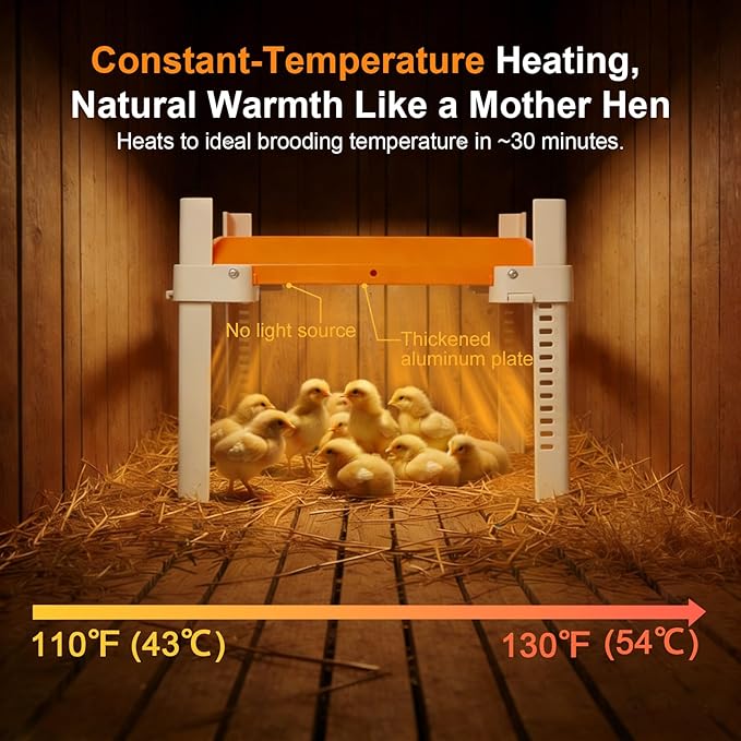 Chicken Coop Heater, Briidea Chick Brooder Heating Plate with 110–130℉ Constant Temperature for Chick Safety, Adjustable Height & Angle, Mother-Hen-Like Comfort, Indoor & Outdoor Use for 15 Chicks