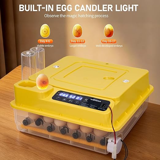 Winado Incubators for Hatching Eggs, 30 Egg Incubator with Automatic Egg Turning, Temperature & Humidity Control, Egg Candler, Automatic Water Filling and Day Counter for Eggs Hatching