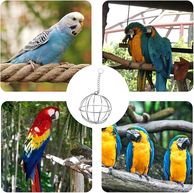 GALPADA 1set Feeding Rack Chicken Feeder Holder Chicken Treat Feeder Hanging Bird Food Poultry Feeding Holder Stainless Steel 2pcs