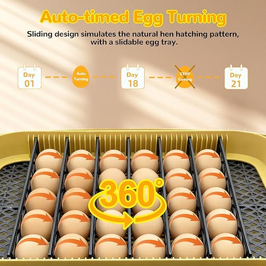 24 Egg Incubator with Temperature Control & Humidity Monitoring, Automatic Egg Turner, Built-in Egg Candler, 360° Clear View for Hatching Chicken, Duck, Quail Eggs - Ideal for Home, Classroom, Farm